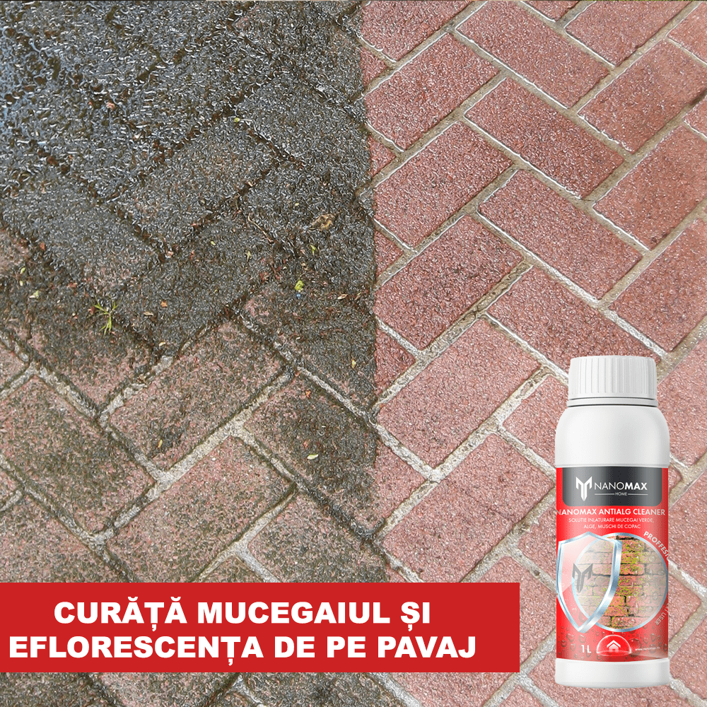 Curata Eflorescenta Verde si Mucegaiul pavaj, beton , piatra